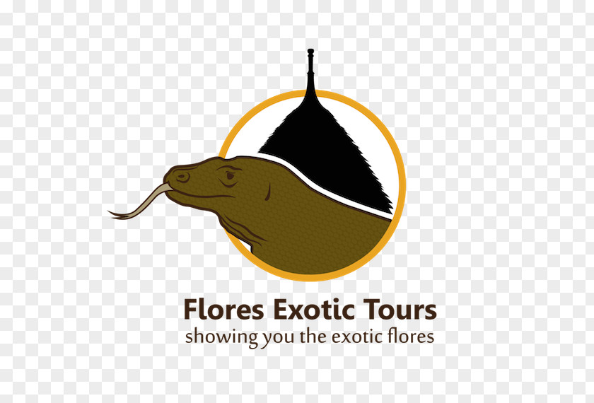 Labuan Bajo, Branch Office Travel Package TourIndonesia Bali Komodo Dragon Flores Exotic Tours PNG