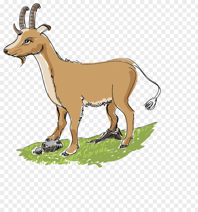 Nus Background Cattle Deer Mammal La Foret Des Vert'tiges Goat PNG