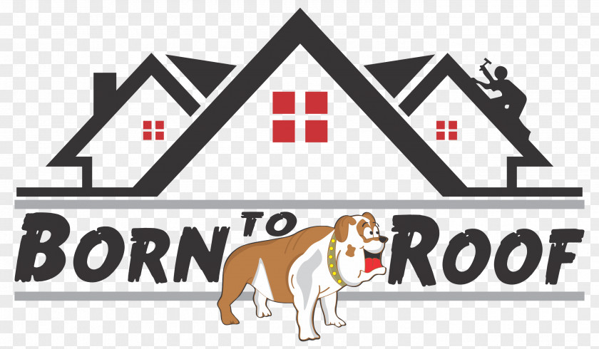 Roofs Roofer House Logo Aurum Roofing PNG