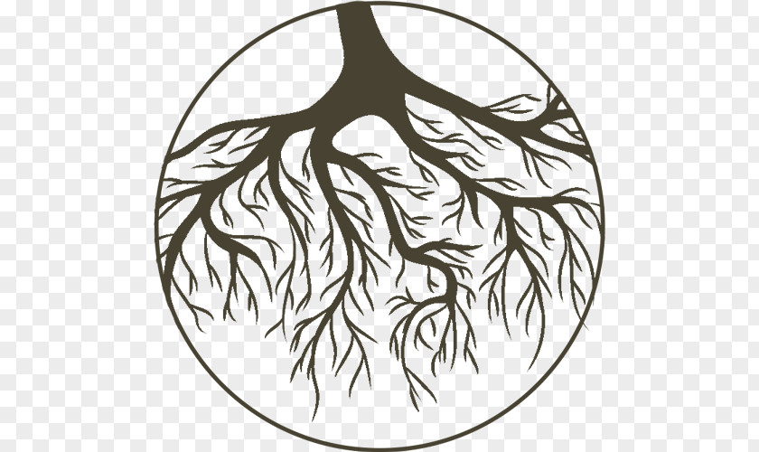 Root Tree Branch Clip Art PNG