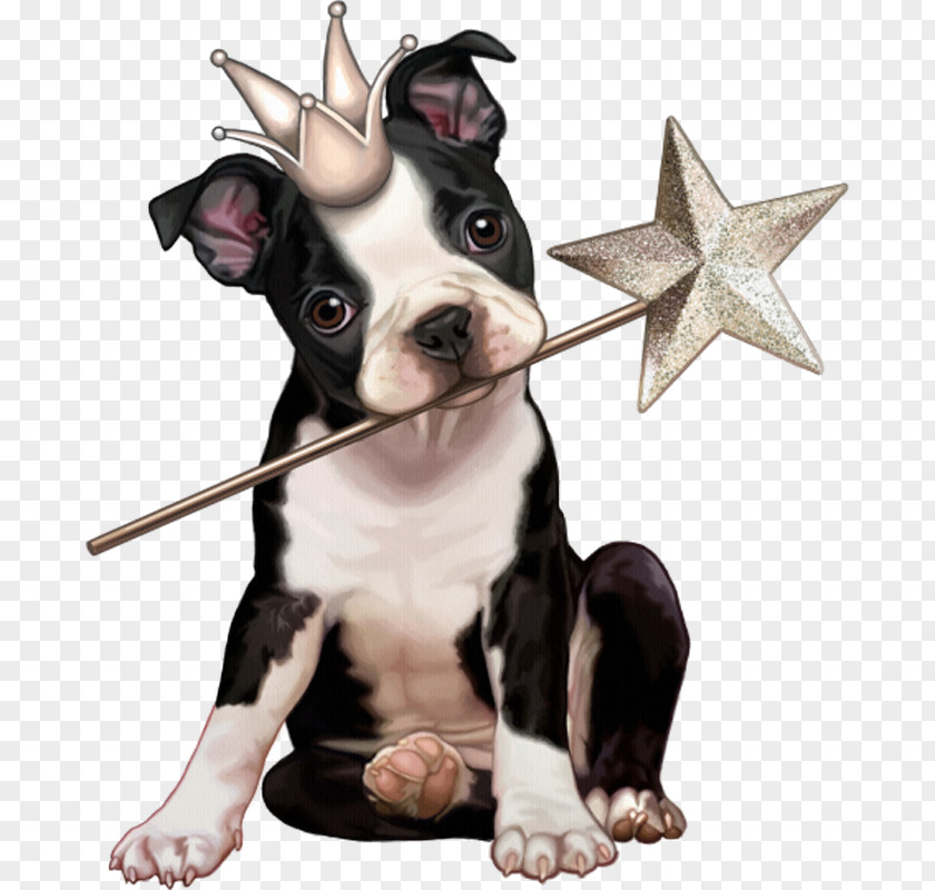 Dog Clip Art Puppy Illustration Drawing PNG