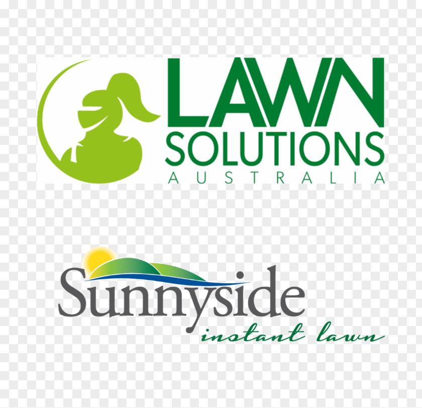 Lawn Road Sod Artificial Turf Landscaping Daleys PNG