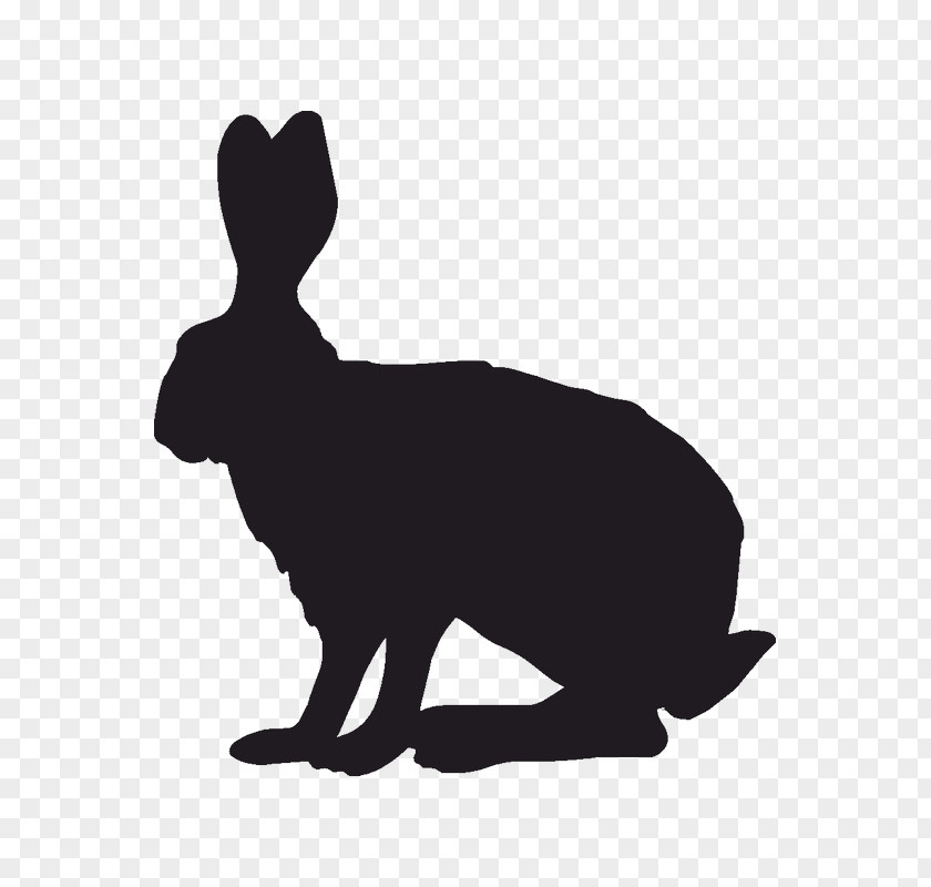 Rabbit Domestic Indian Hare Silhouette Clip Art PNG