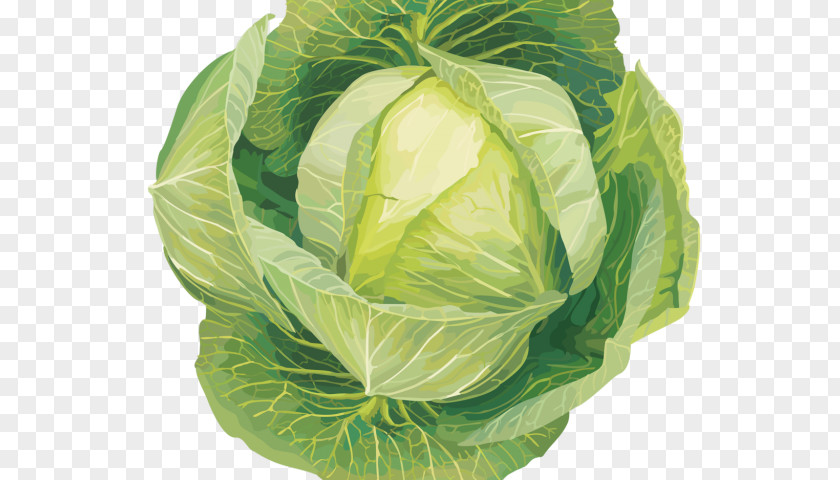 Rutabaga Vegetables Cabbage Clip Art Collard Greens Transparency PNG