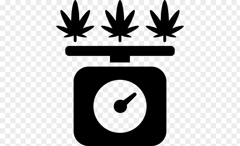 From Seed To WeedDrug Cannabis Cultivation Cannabidiol Cannabinol Growing Marijuana For Beginners: Growguide PNG