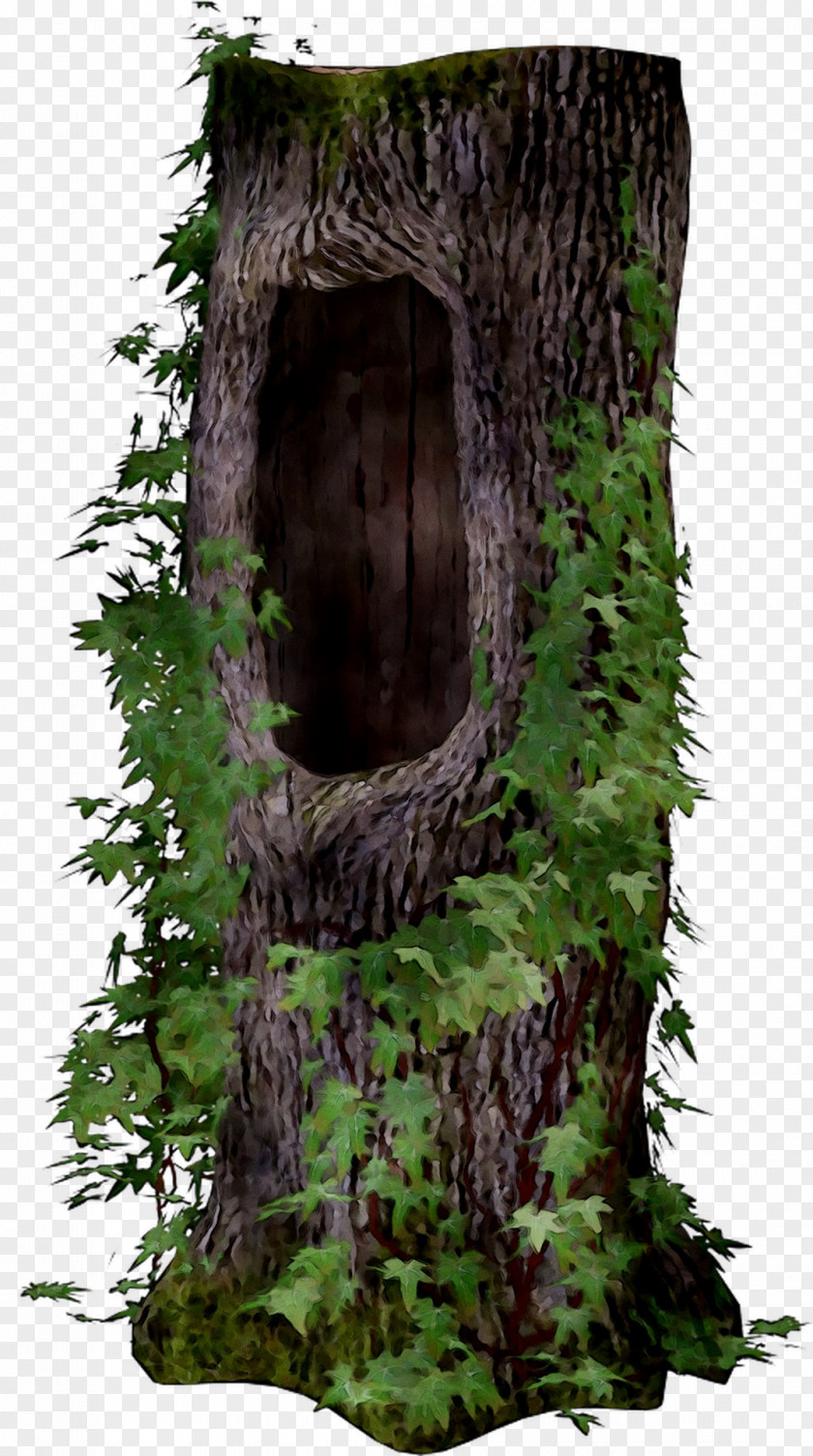 /m/083vt Camouflage M Wood Tree Stump PNG