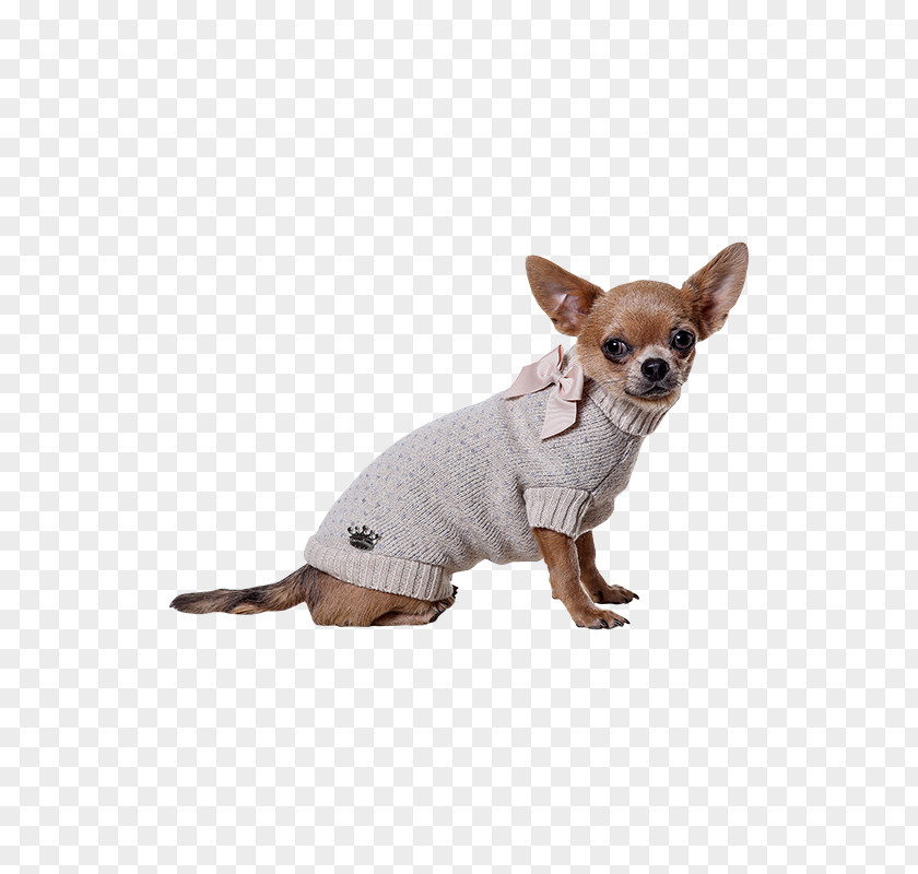 Puppy Dog Breed Chihuahua Russkiy Toy Companion PNG