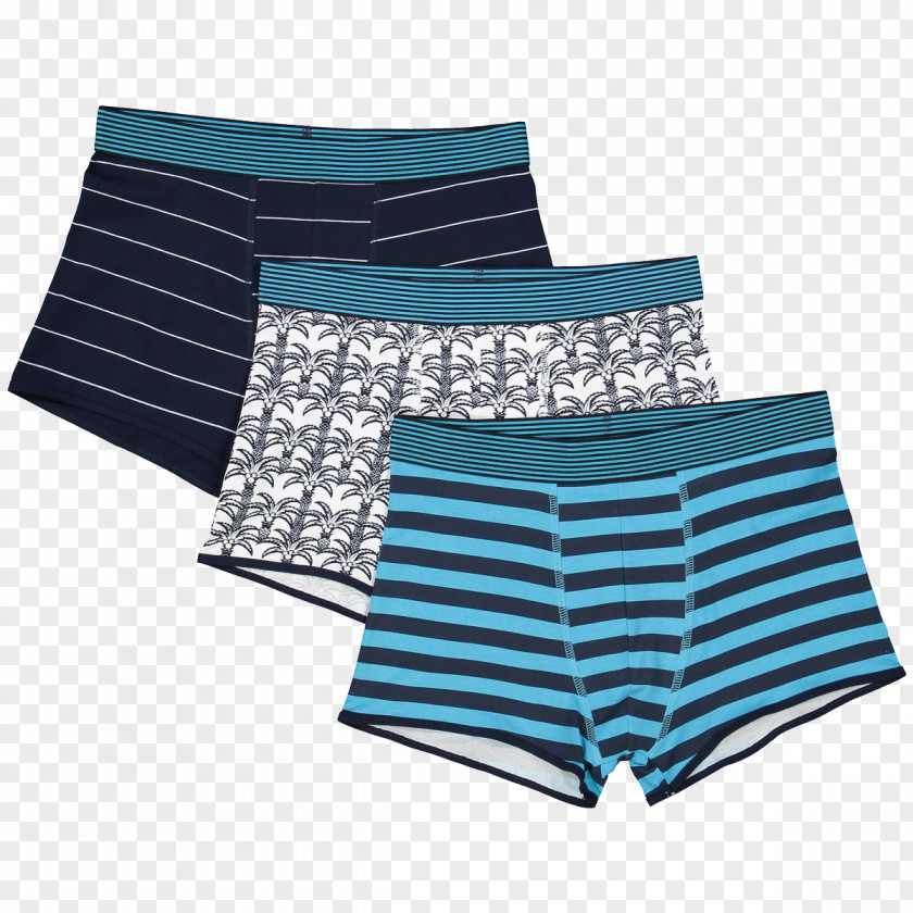 Teller Swim Briefs Trunks Underpants Swimsuit PNG