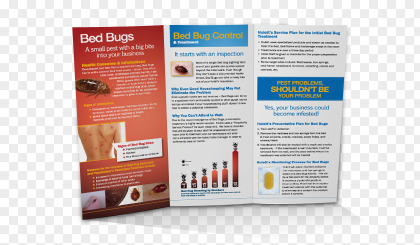 Trifold Brochure Bed Bug Pest Control Rat PNG