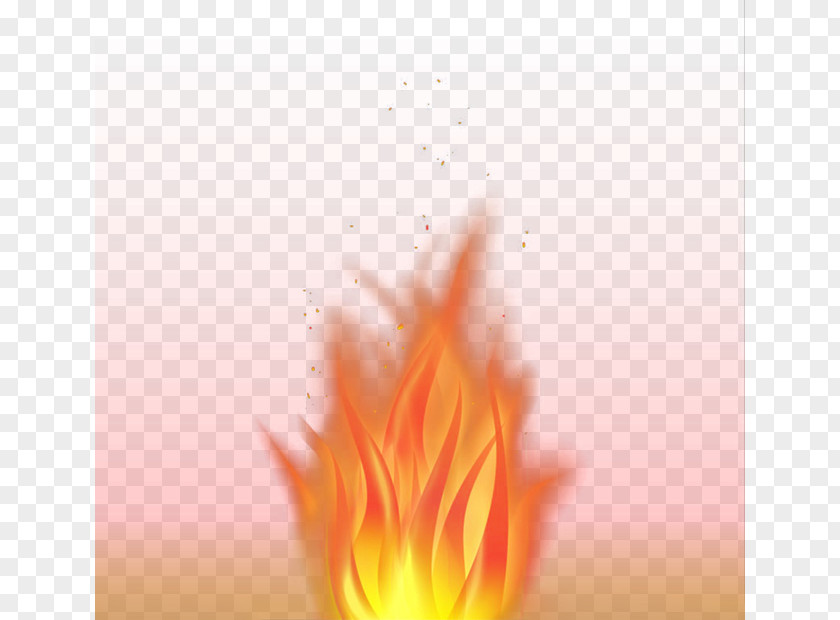 Flames Flame Petal Close-up Wallpaper PNG