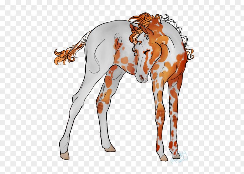 Giraffe Horse Pack Animal Clip Art PNG
