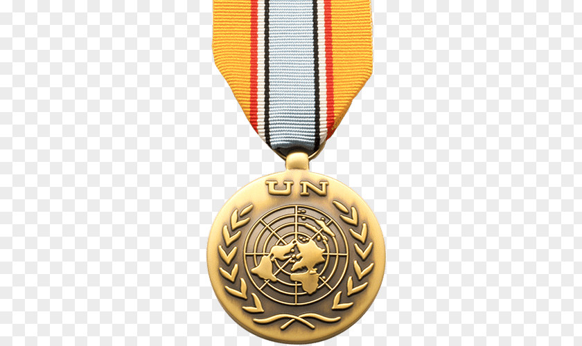 Medal United Nations Interim Force In Lebanon Disengagement Observer PNG