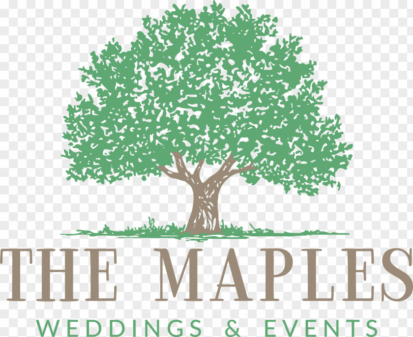 Old Oak Ranch Conference Center The Maples Tree Logo Woodland Photograph PNG