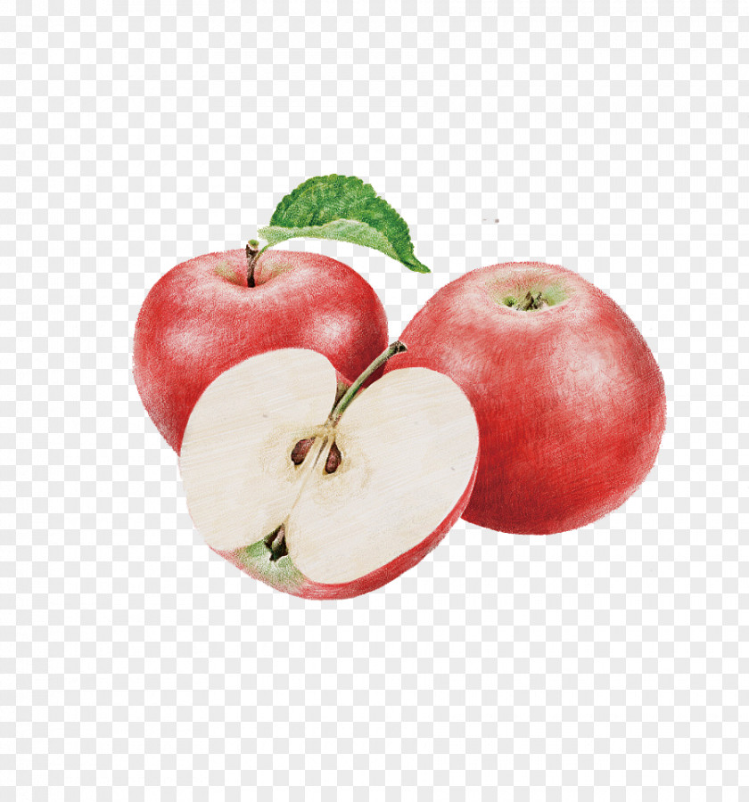 Painted Apple Nutrient Uterine Fibroid Food Healthy Diet PNG