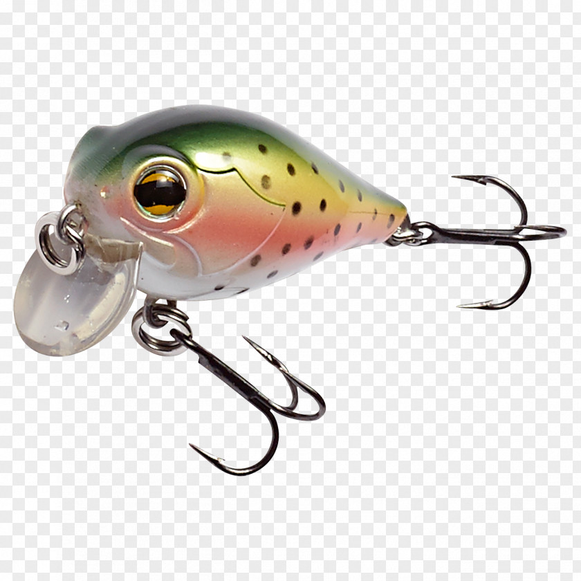 Rainbow Trout Spoon Lure Insect Fish AC Power Plugs And Sockets PNG