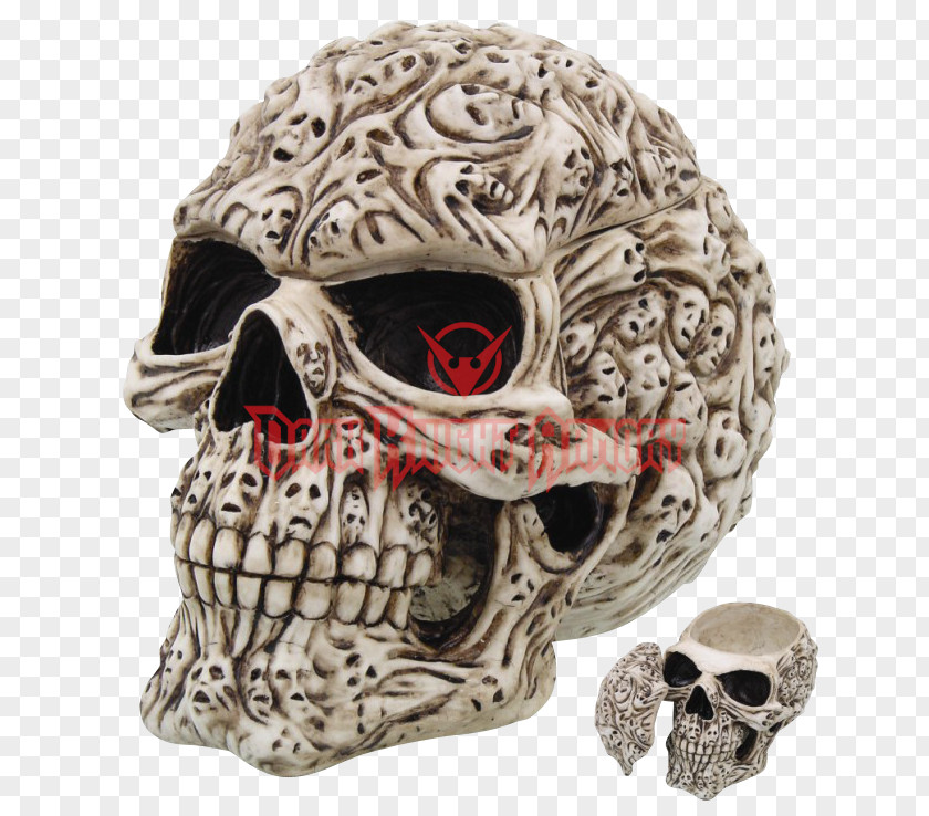 Skull Human Symbolism Skeleton Jar Calavera PNG