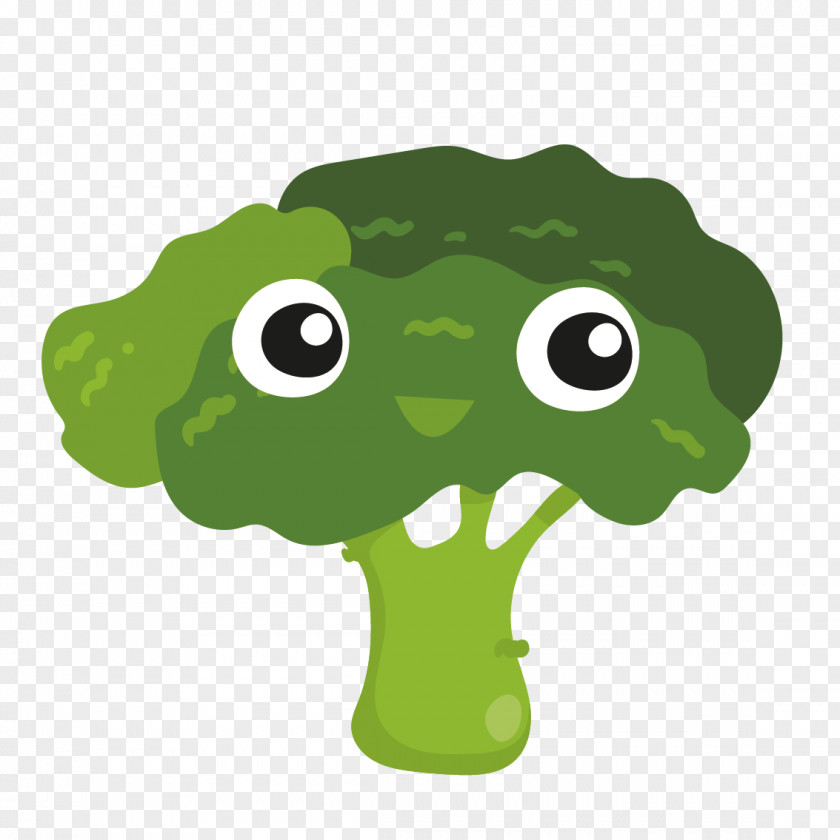 Vector Cauliflower Vegetable Clip Art PNG