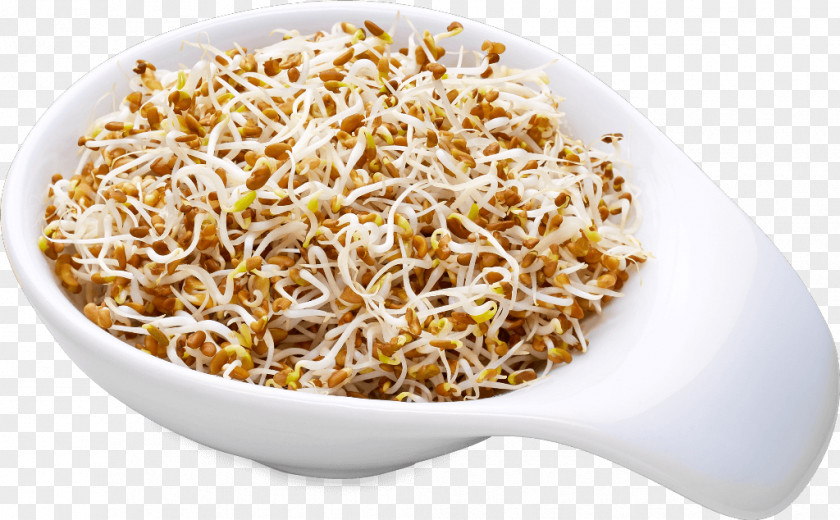 Bean Sprout PepUpLife GmbH Vegetarian Cuisine Ingredient Food PNG