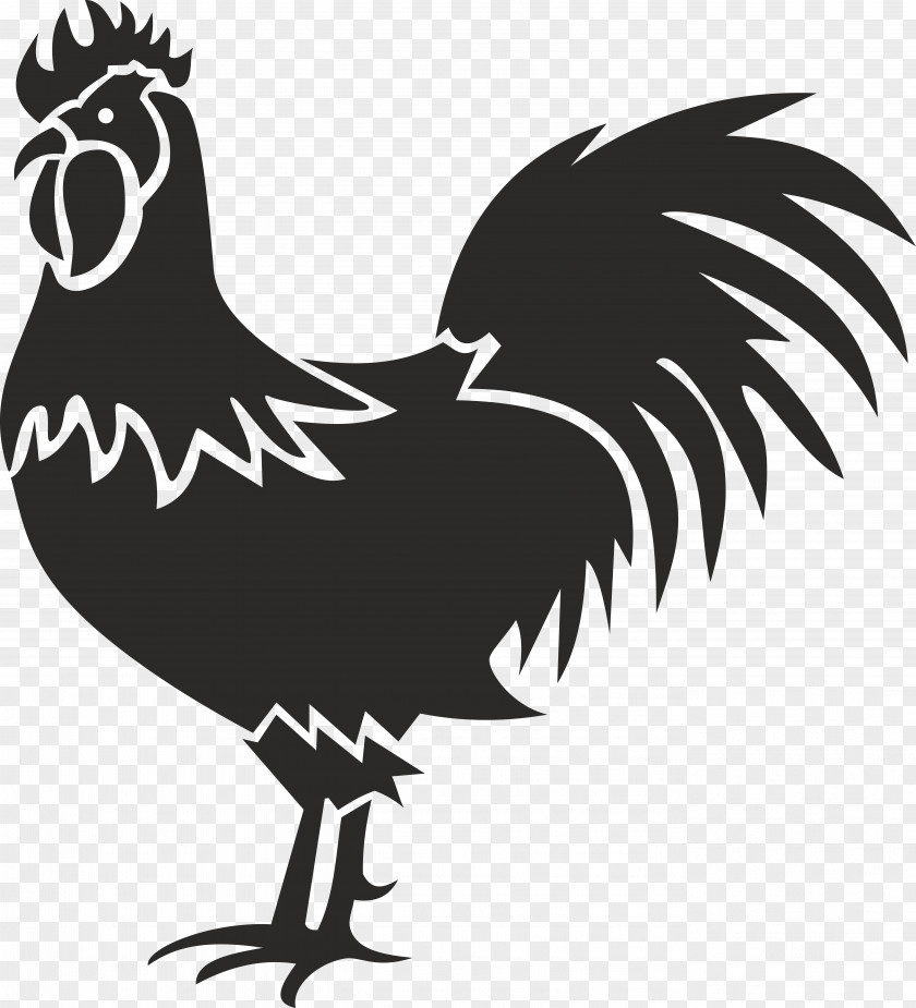 Cock Chicken Rooster Clip Art PNG