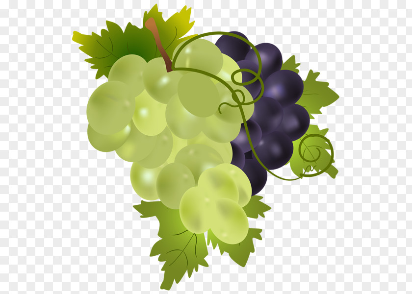 Grape Wine Clip Art PNG