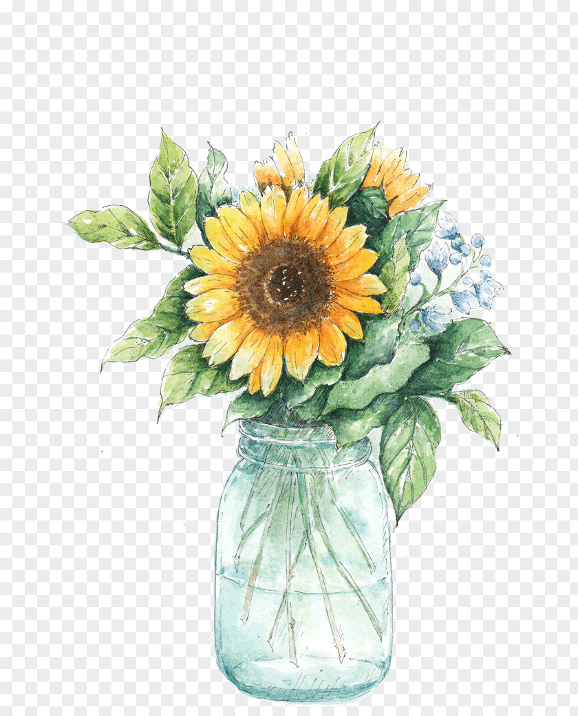 Jar Clip Art Image Common Sunflower Watercolor Painting PNG