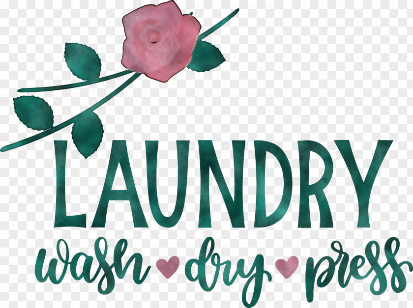 Laundry Wash Dry PNG