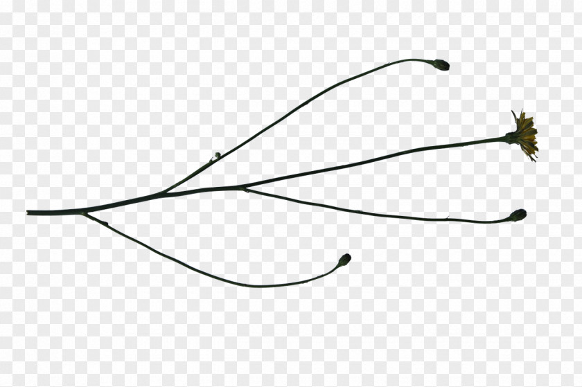 Line Angle Product PNG