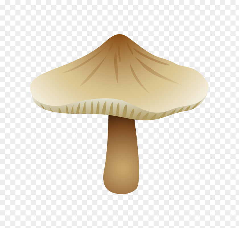 Mushroom,fungus Mushroom Fungus Shiitake PNG