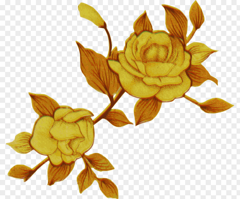 Small Yellow Flowers Flower Windows Metafile Clip Art PNG
