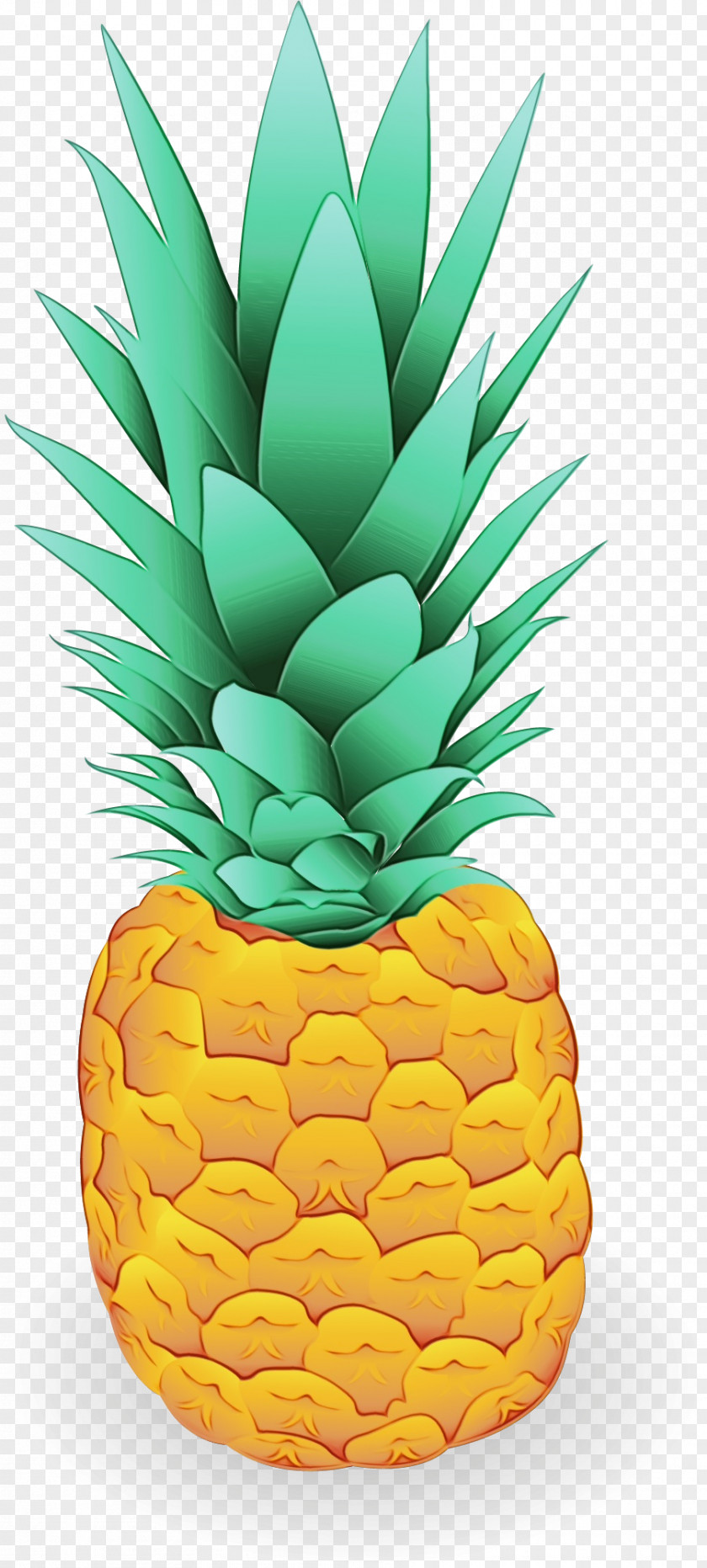 Vegan Nutrition Natural Foods Pineapple PNG
