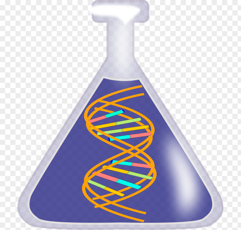 Echidna Clipart DNA Nucleic Acid Double Helix Free Content Clip Art PNG