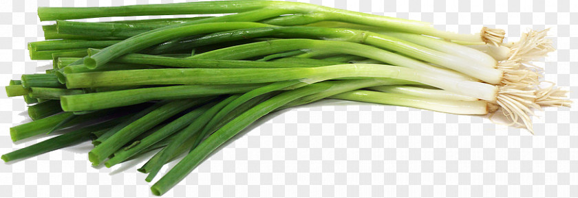 Green Onion File Cong You Bing Scallion Vegetarian Cuisine Vegetable PNG