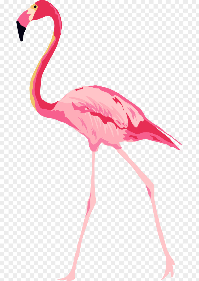 Hand Painted Pink Swan Bird Royalty-free Photography Illustration PNG