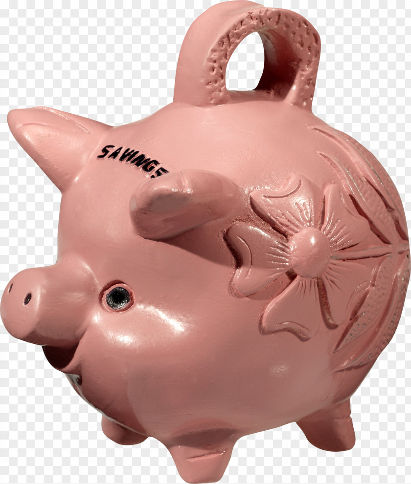 Pig Domestic Piggy Bank Clip Art PNG
