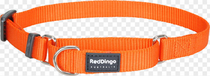Red Collar Dog Dingo Cat PNG