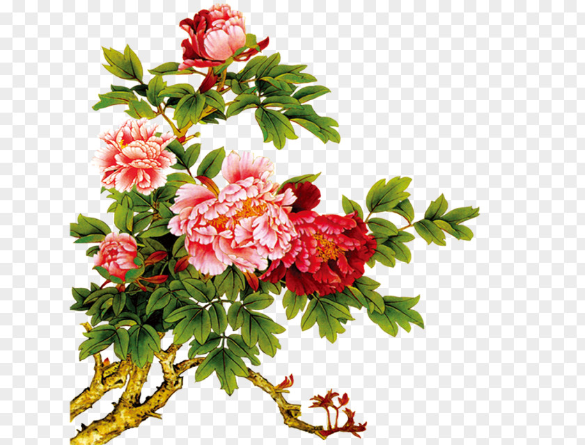 Chinese Fengyun Flowers Download Moutan Peony Clip Art PNG
