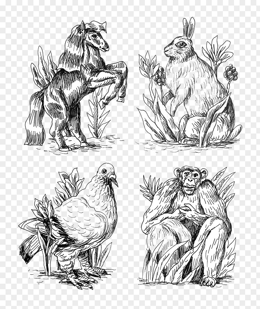 Creative Hand-painted Animal Pencil Drawing Black And White Sketch PNG