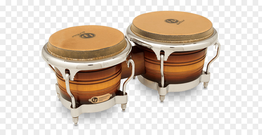 Drum Bongo Latin Percussion Conga PNG