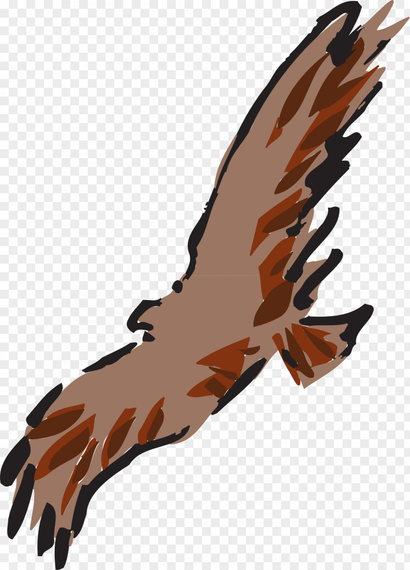 Flying Bird Flight Clip Art PNG