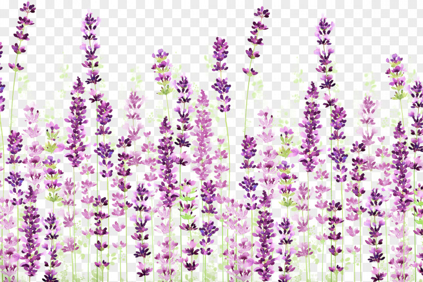 Lavender Background English Download Icon PNG
