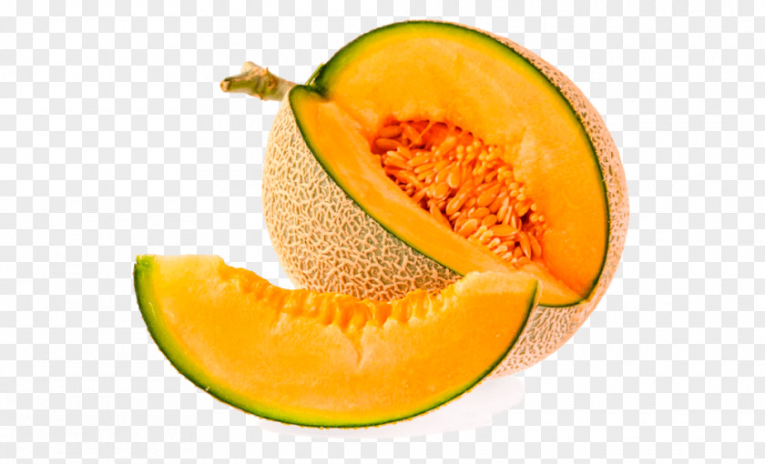 Melon Honeydew Cantaloupe Galia Canary PNG