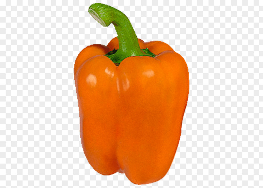 Paprika Bell Pepper Chili Vegetarian Cuisine Food Cayenne PNG