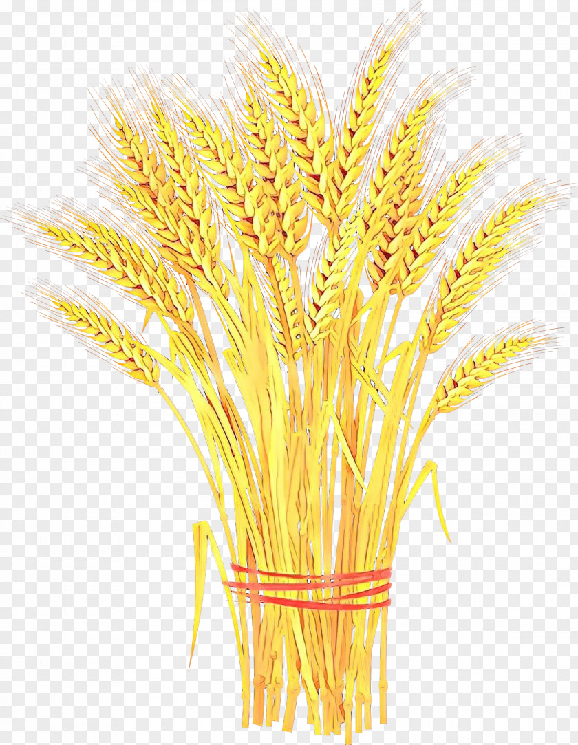 Wheat Clip Art Vector Graphics Sheaf Cereal PNG
