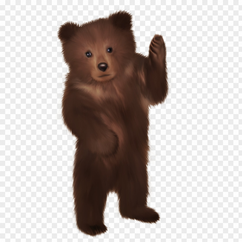 Bears Brown Bear Dog Presentation Clip Art PNG