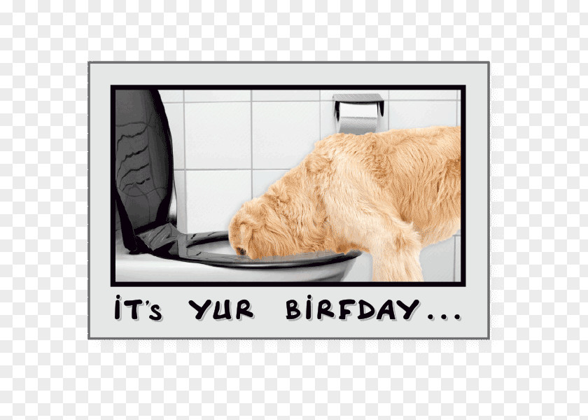 Birthday Dog Greeting & Note Cards Drink PNG