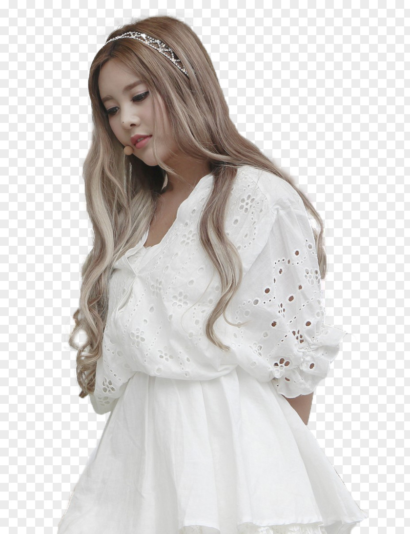 Dress Wedding Long Hair Gown Photo Shoot Wig PNG