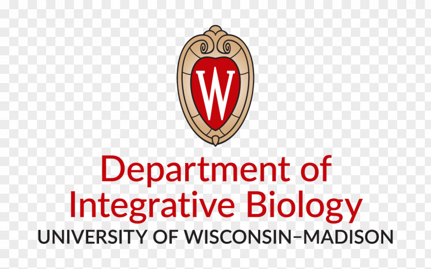 School University Of Wisconsin Medicine And Public Health Robert M. La Follette Affairs College PNG