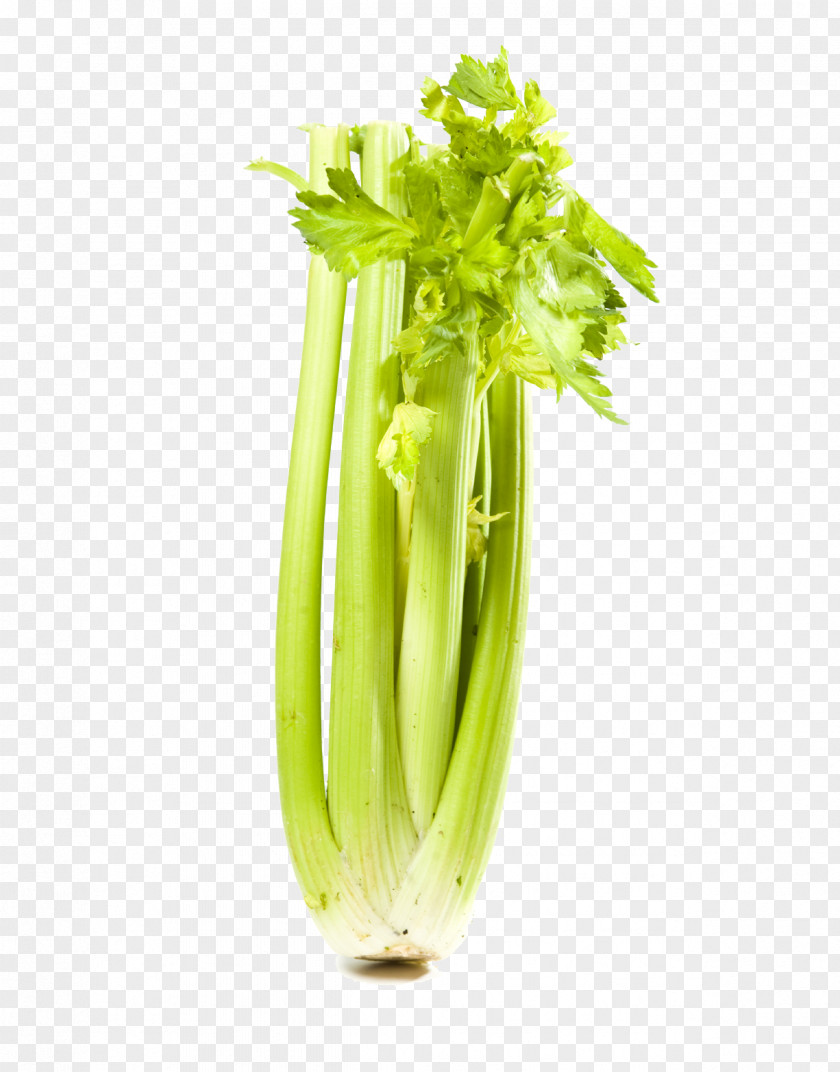Vegetable Wild Celery Leaf Food PNG