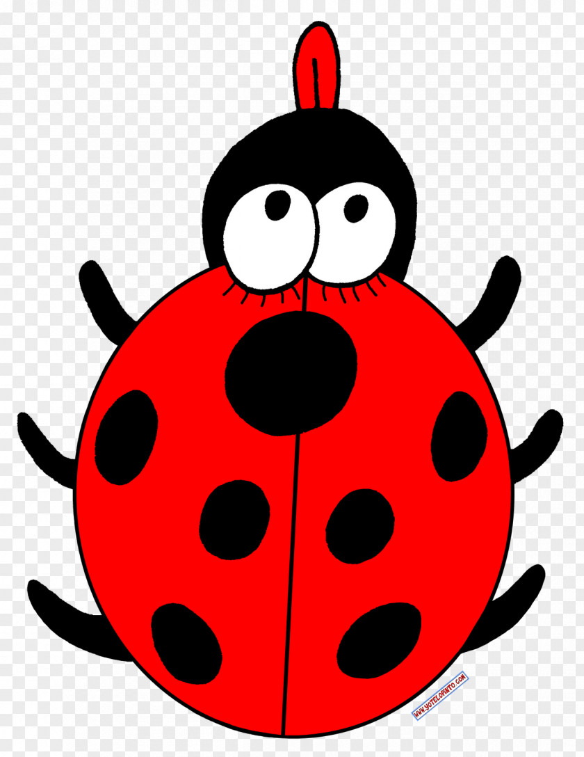 About Us Drawing Ladybird Las Mariquitas PNG