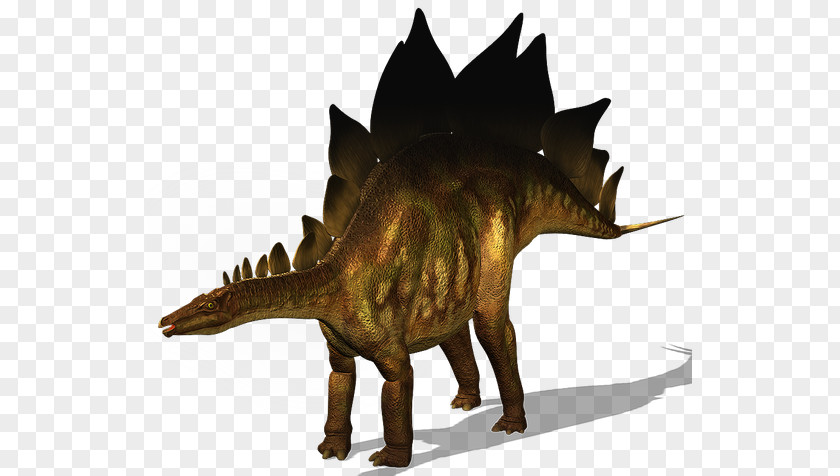 Dinosaur Stegosaurus Ankylosaurus Tyrannosaurus Triceratops Iguanodon PNG